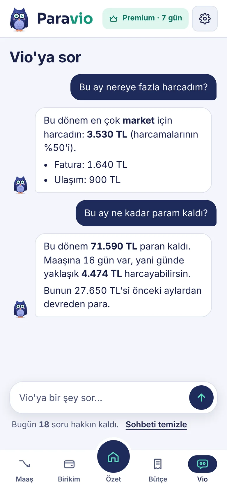 Vio'ya sor ekranı: harcama sorusuna verilen cevap